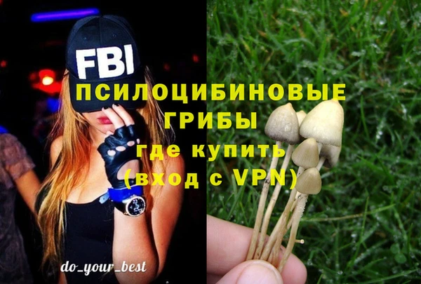 2c-b Алзамай